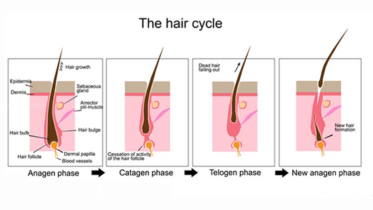 9 mẹo giúp cho tóc nhanh dài trong vòng 1 tuần 1