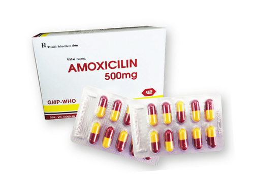 5.1. Thuốc trị viêm nang tóc Amoxillin 1