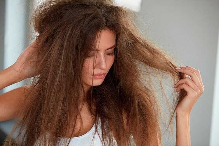 Tóc khô xơ phải làm sao 7 cách phục hồi tóc khô xơ và các sản phẩm